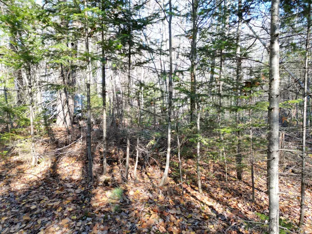 $10,000 | Lot 9 James Way, Lincoln, ME 04457