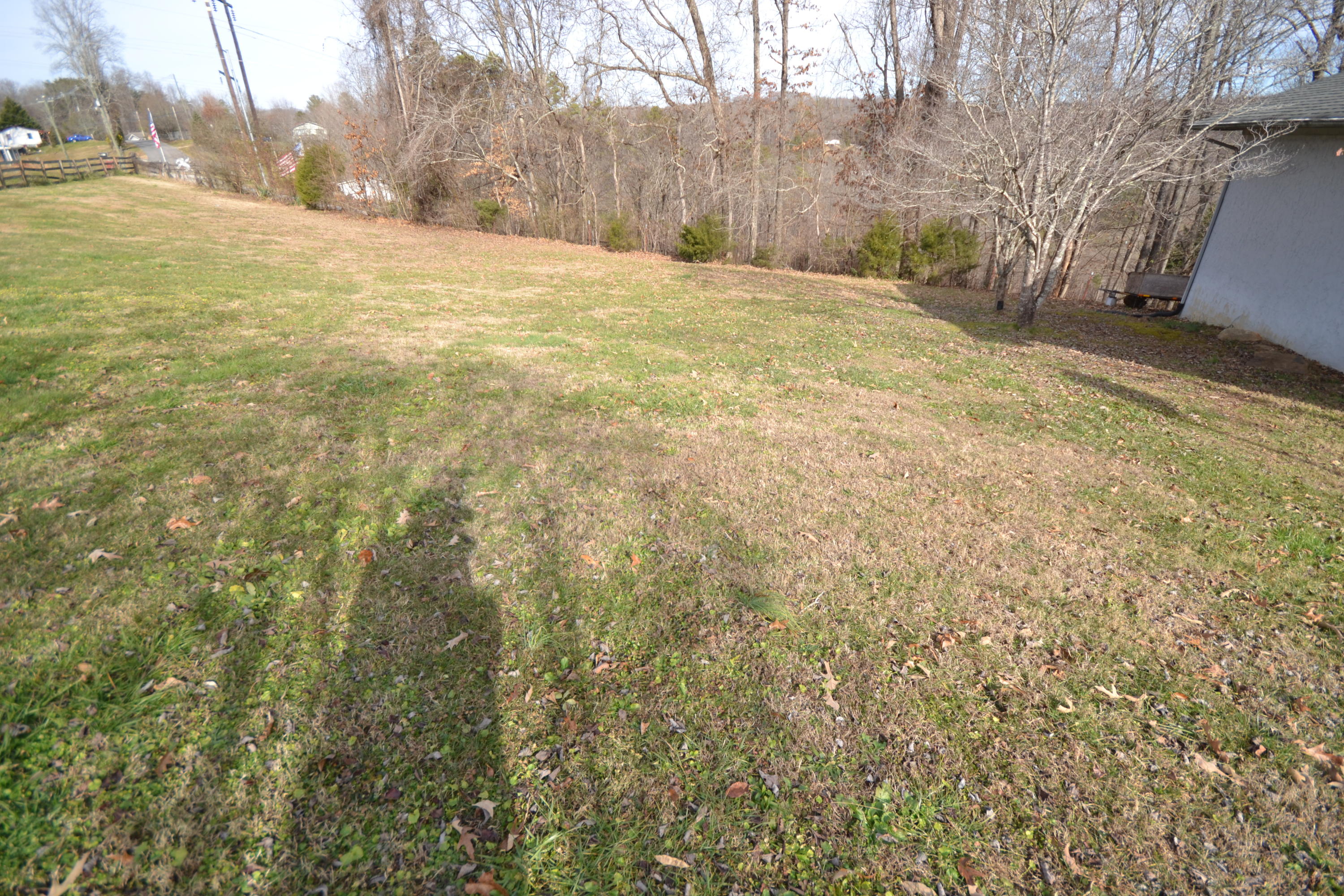 657 Island Ford Road Rocky Top, TN 37769 - Photo 20 of 20 Level Land