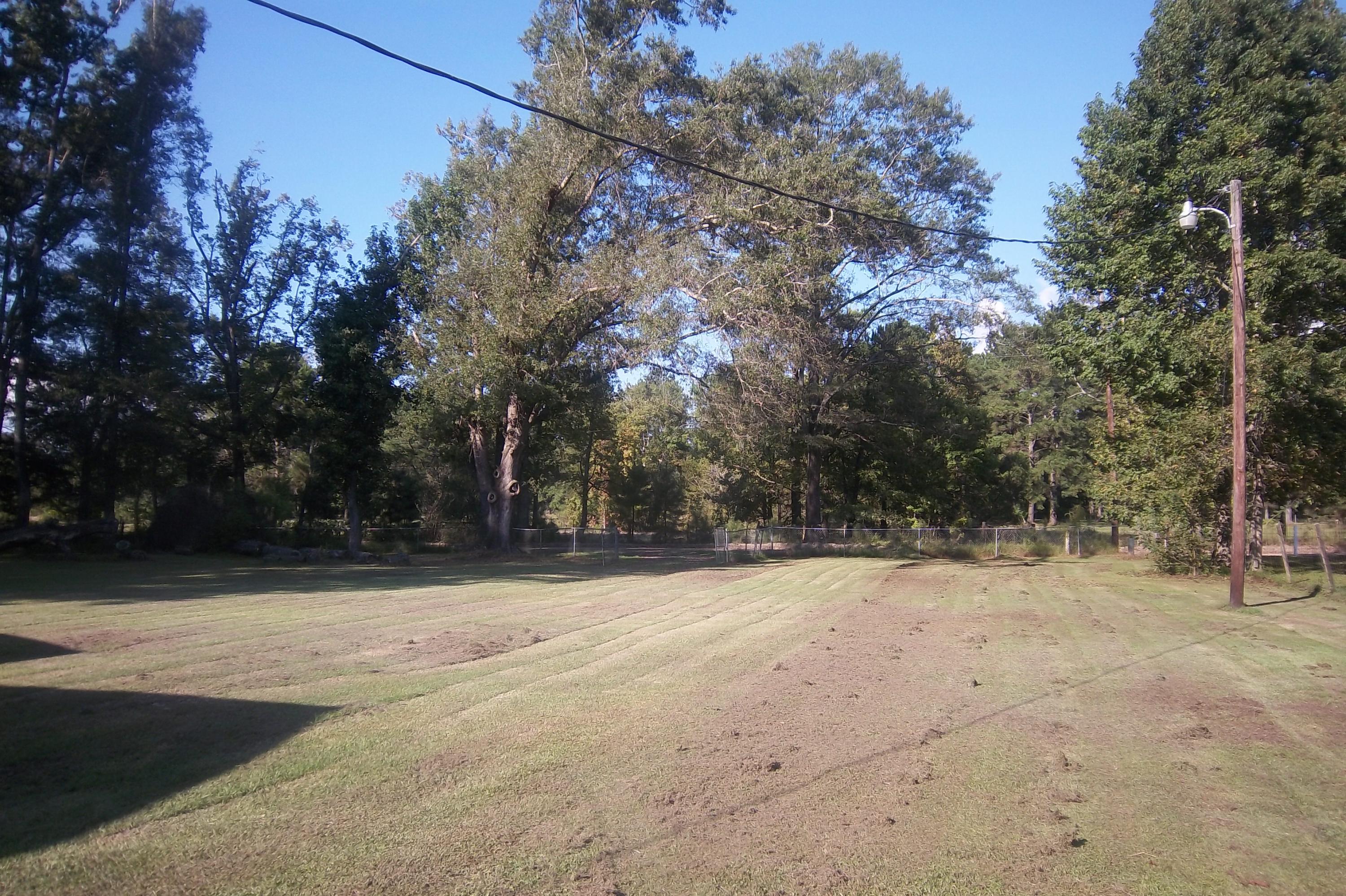 416 Sullivans Ferry Road Cottageville, SC 29435 - Photo 40 of 48 Front Yard view 2