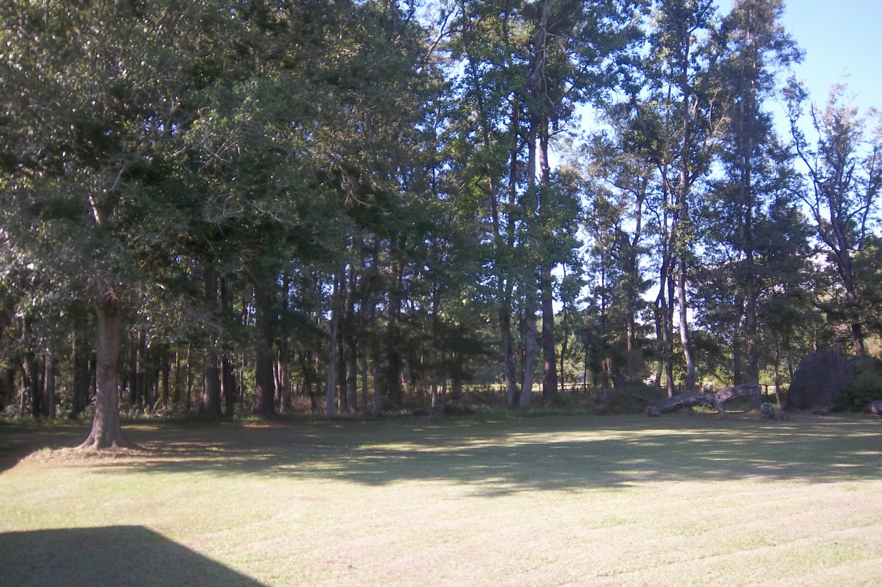 416 Sullivans Ferry Road Cottageville, SC 29435 - Photo 42 of 48 Side front yard