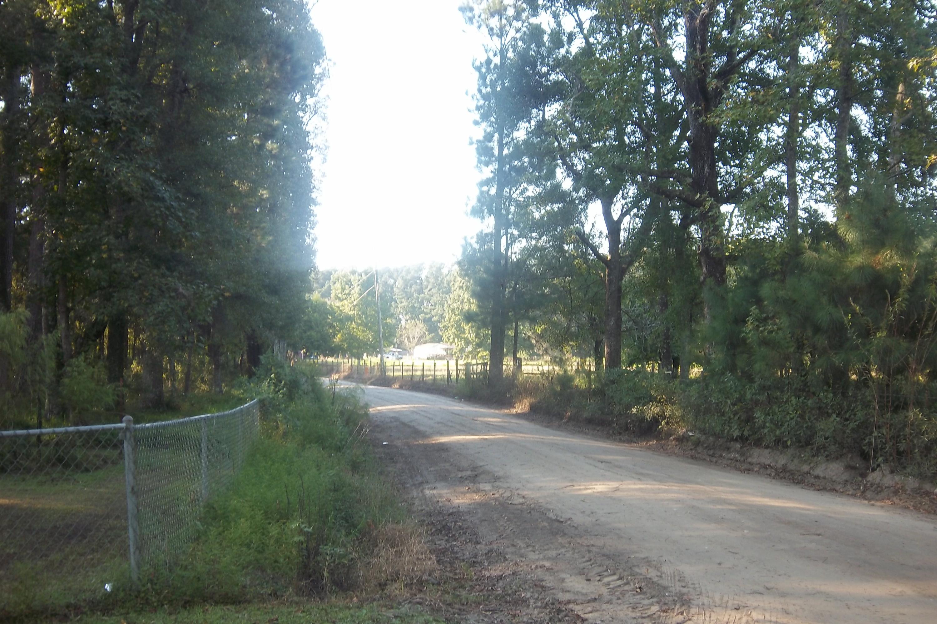 416 Sullivans Ferry Road Cottageville, SC 29435 - Photo 45 of 48 Road View