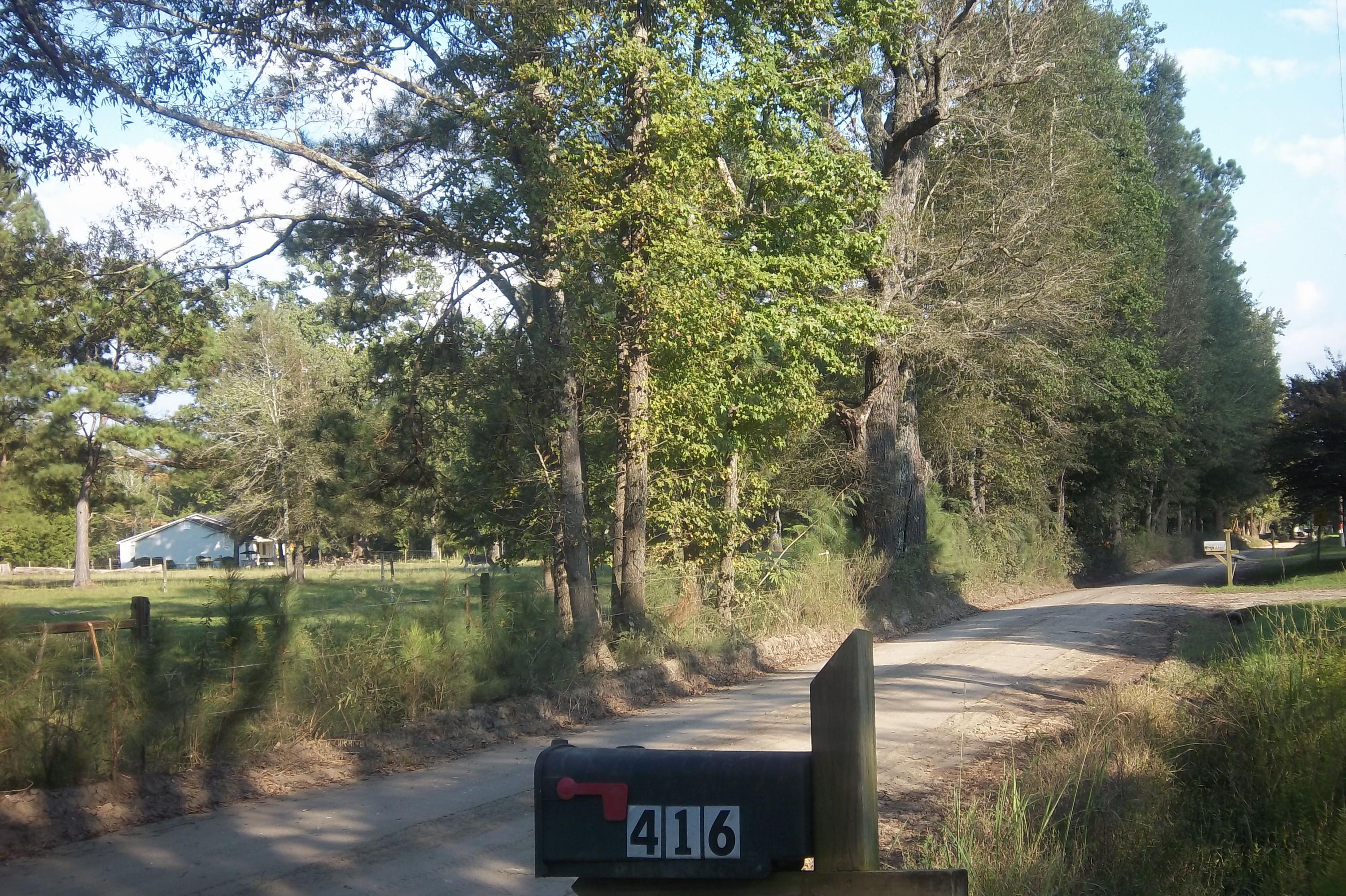 416 Sullivans Ferry Road Cottageville, SC 29435 - Photo 46 of 48 Road View, 2