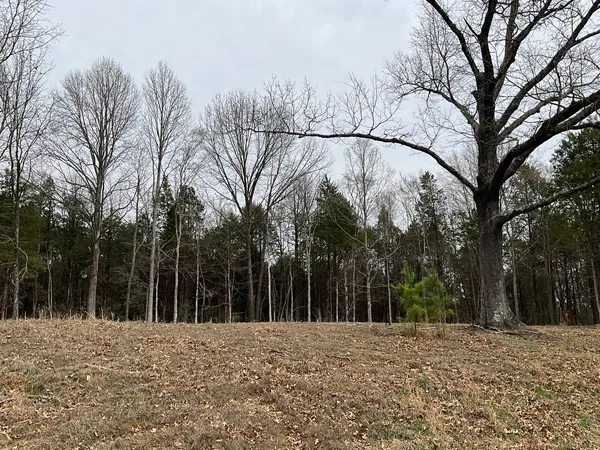 $17,500 | 305 Pecan Point, Goreville, IL 62939