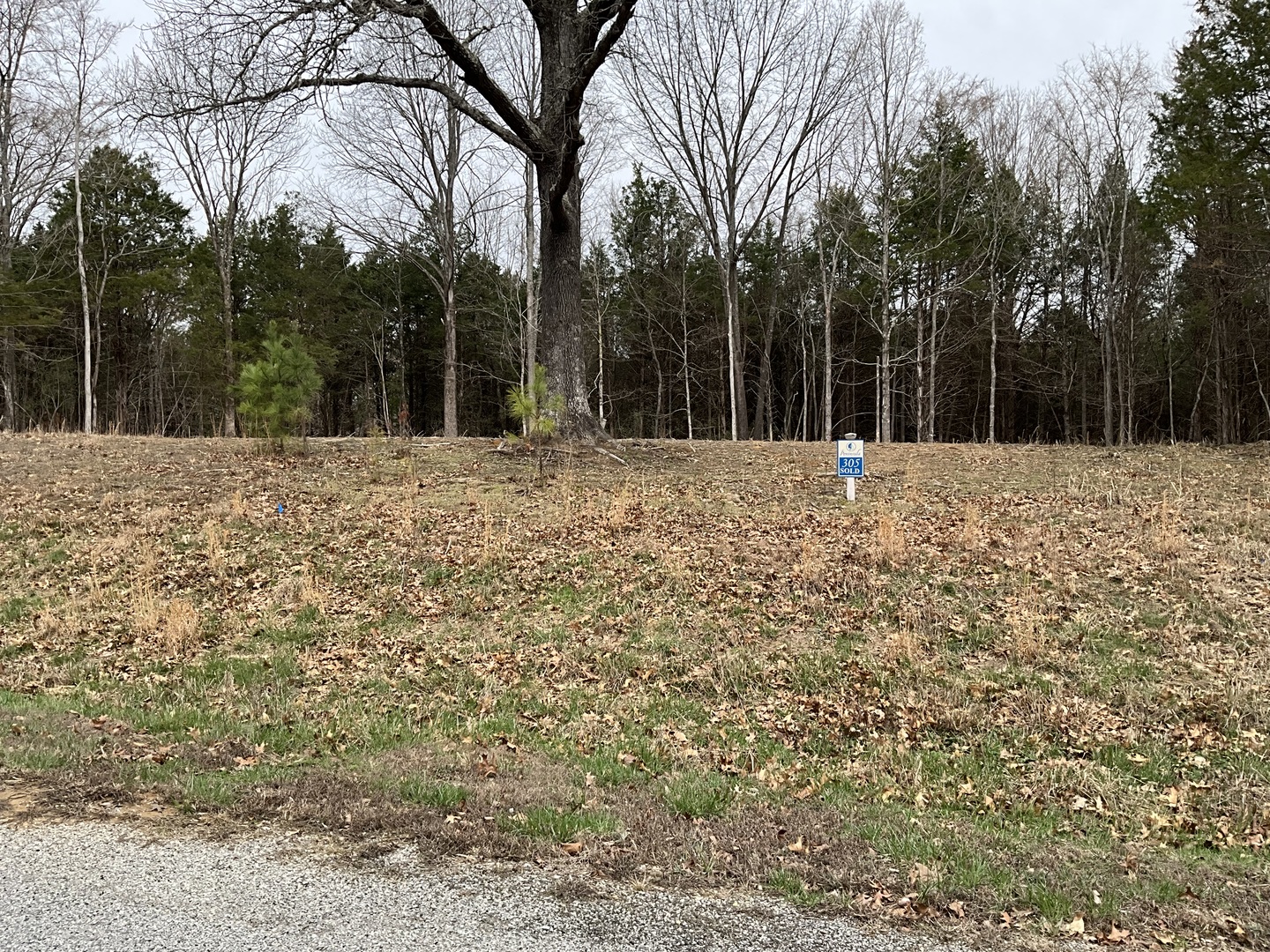 305 Pecan Point Goreville, IL 62939 - Photo 2 of 8