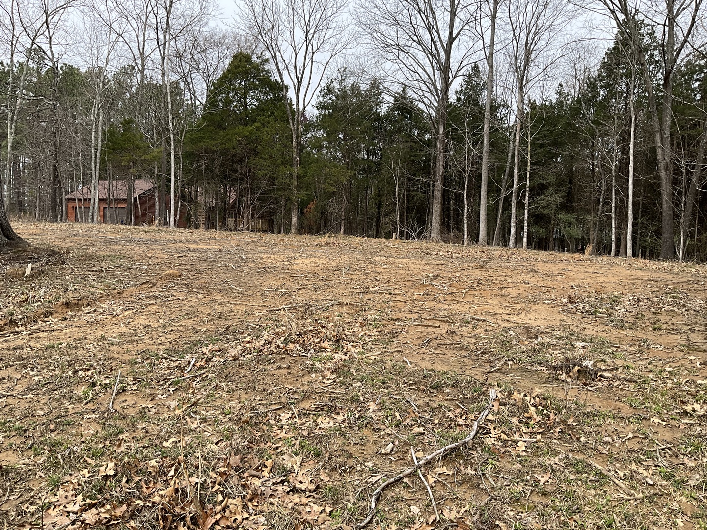 305 Pecan Point Goreville, IL 62939 - Photo 3 of 8