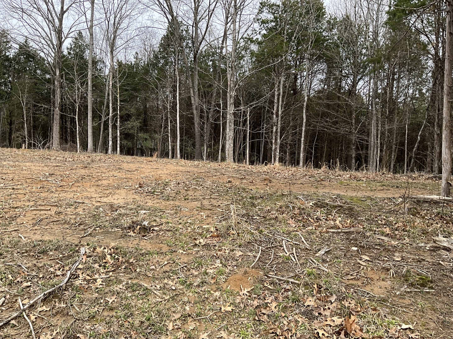 305 Pecan Point Goreville, IL 62939 - Photo 4 of 8