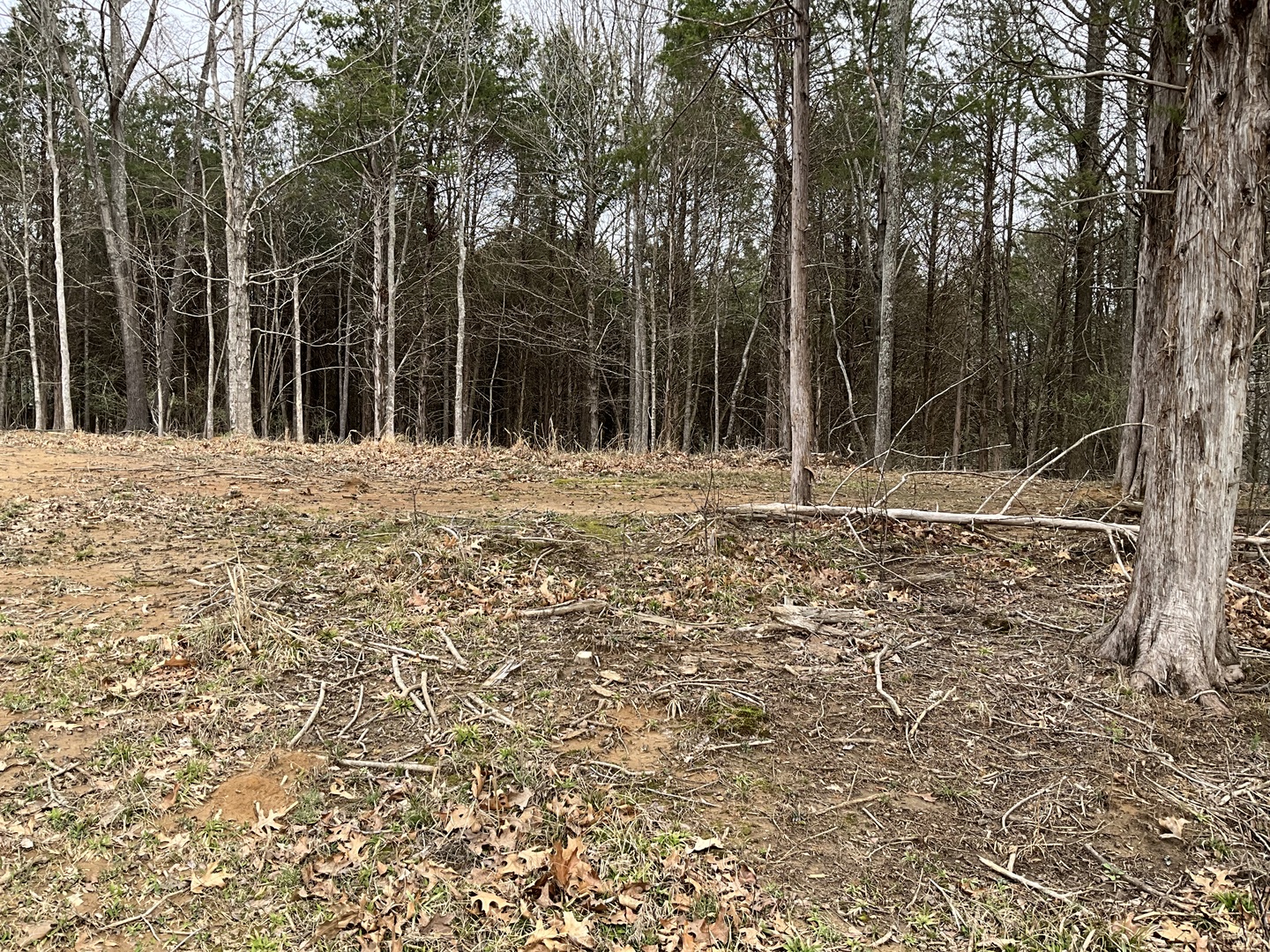 305 Pecan Point Goreville, IL 62939 - Photo 5 of 8