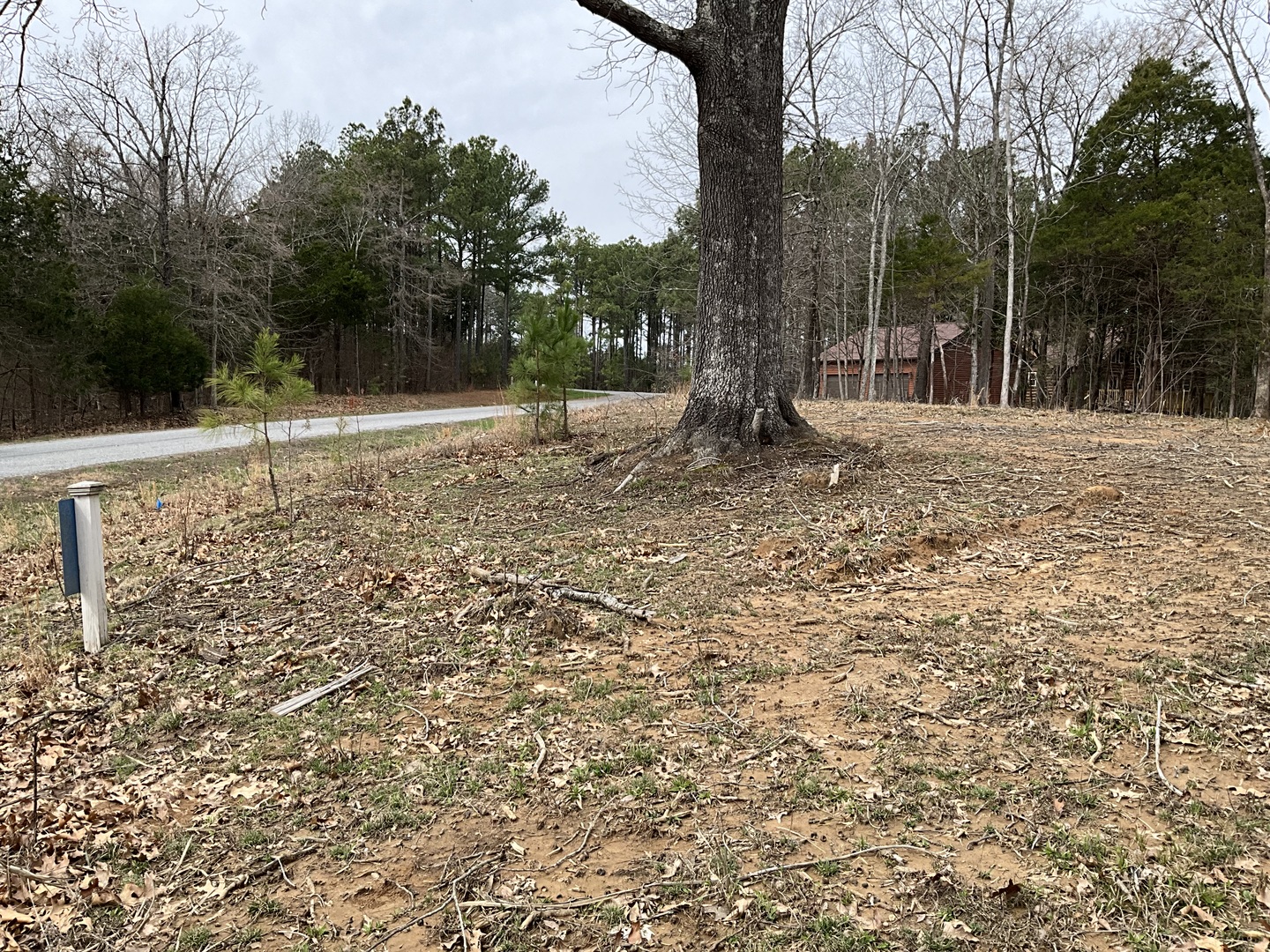 305 Pecan Point Goreville, IL 62939 - Photo 6 of 8