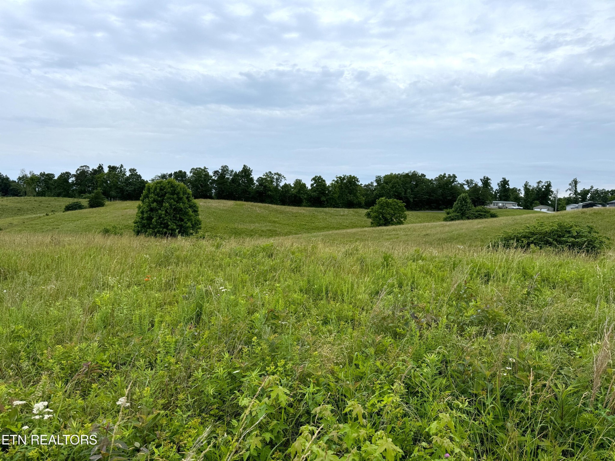 9 Turner Hill Road Mosheim, TN 37818 - Photo 3 of 7 a view of a field with an ocean