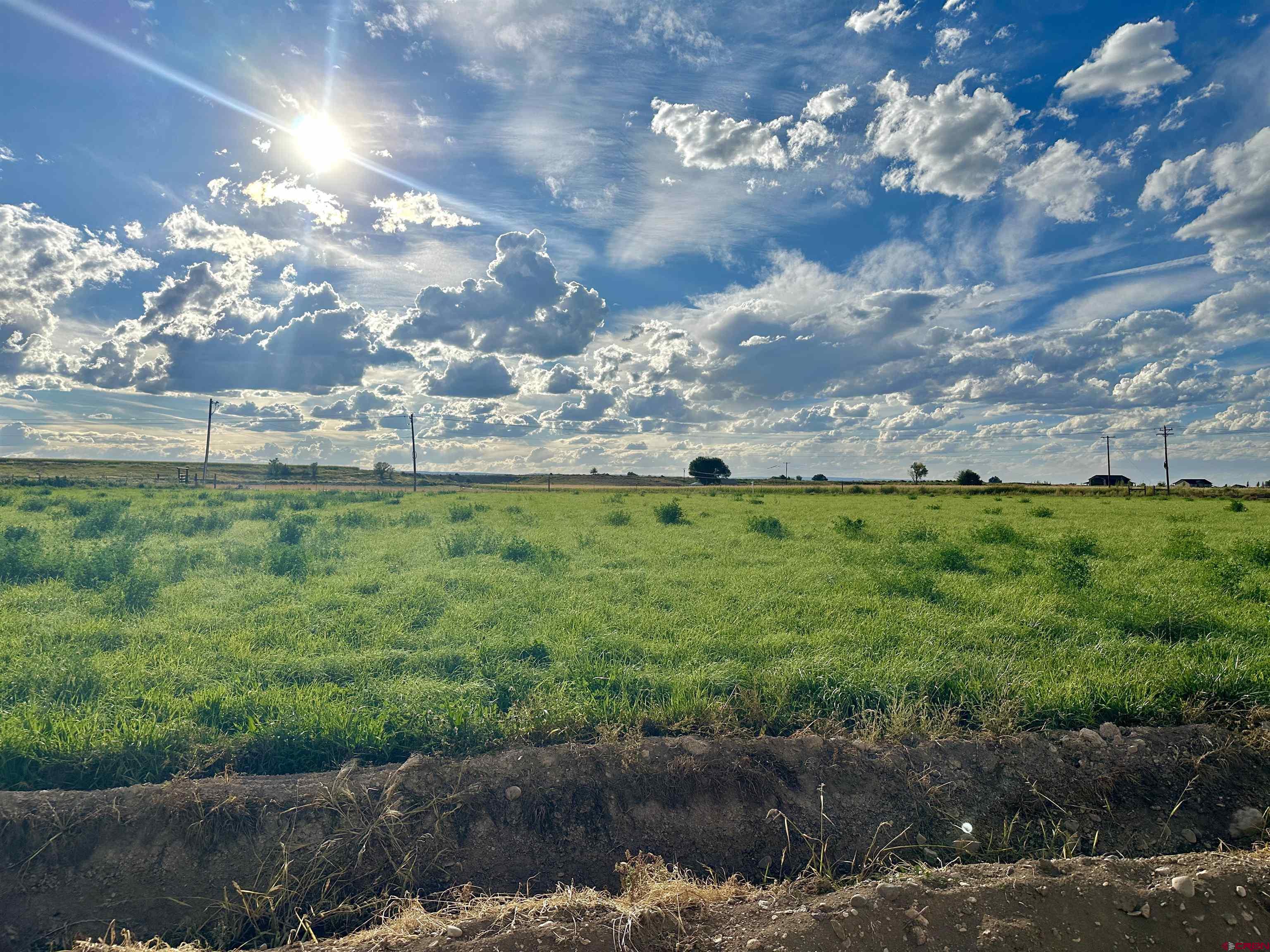 1484 1600th Road Delta, CO 81416 - Photo 45 of 45 Beautiful, productive irrigated field