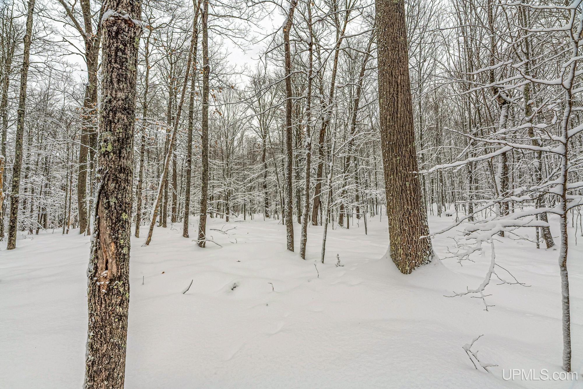 On Eagles Nest Road Phelps, WI 54554 - Photo 11 of 40 Gallery Image 11