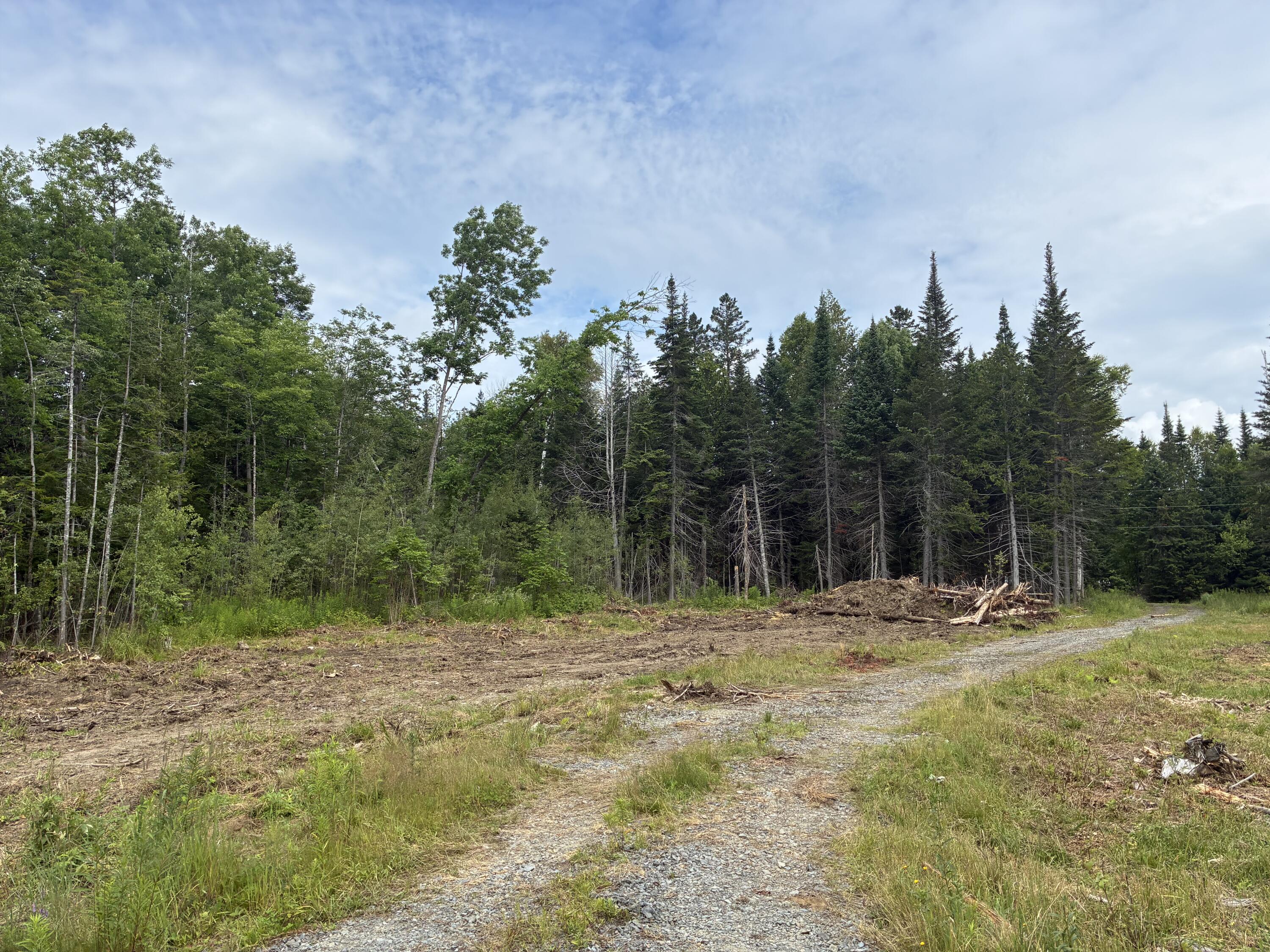 Lot 56 Gile Road Rangeley, ME 04970 - Photo 9 of 21 IMG_1513