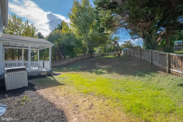 a view of a backyard with large trees and plants