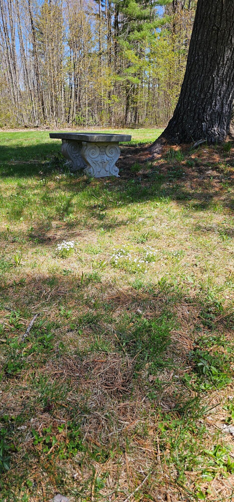 241 Oxbow Road Cornville, ME 04976 - Photo 8 of 64 20240507_134301