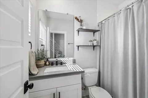 a bathroom with a sink a toilet and shower curtain