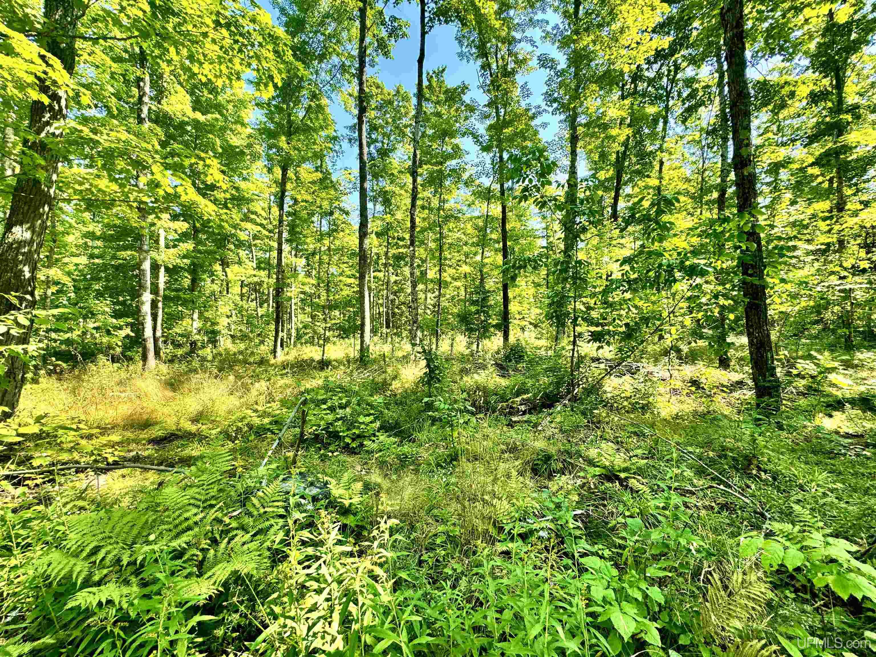 23867 Huron Road Skanee, MI 49962 - Photo 4 of 33 Gallery Image 4