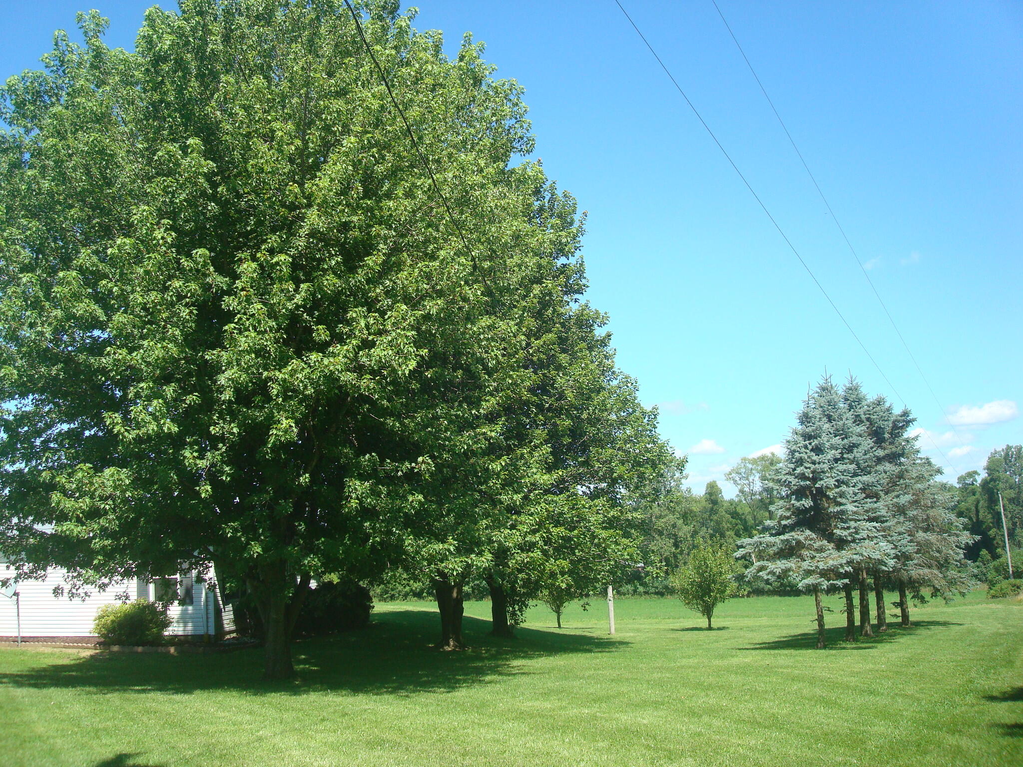 14500 Grange Road Montgomery, MI 49255 - Photo 12 of 72 9190 (10)
