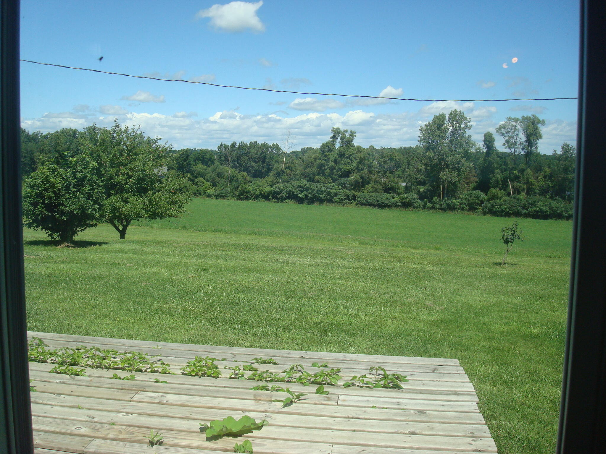 14500 Grange Road Montgomery, MI 49255 - Photo 51 of 72 9190-8 (8)