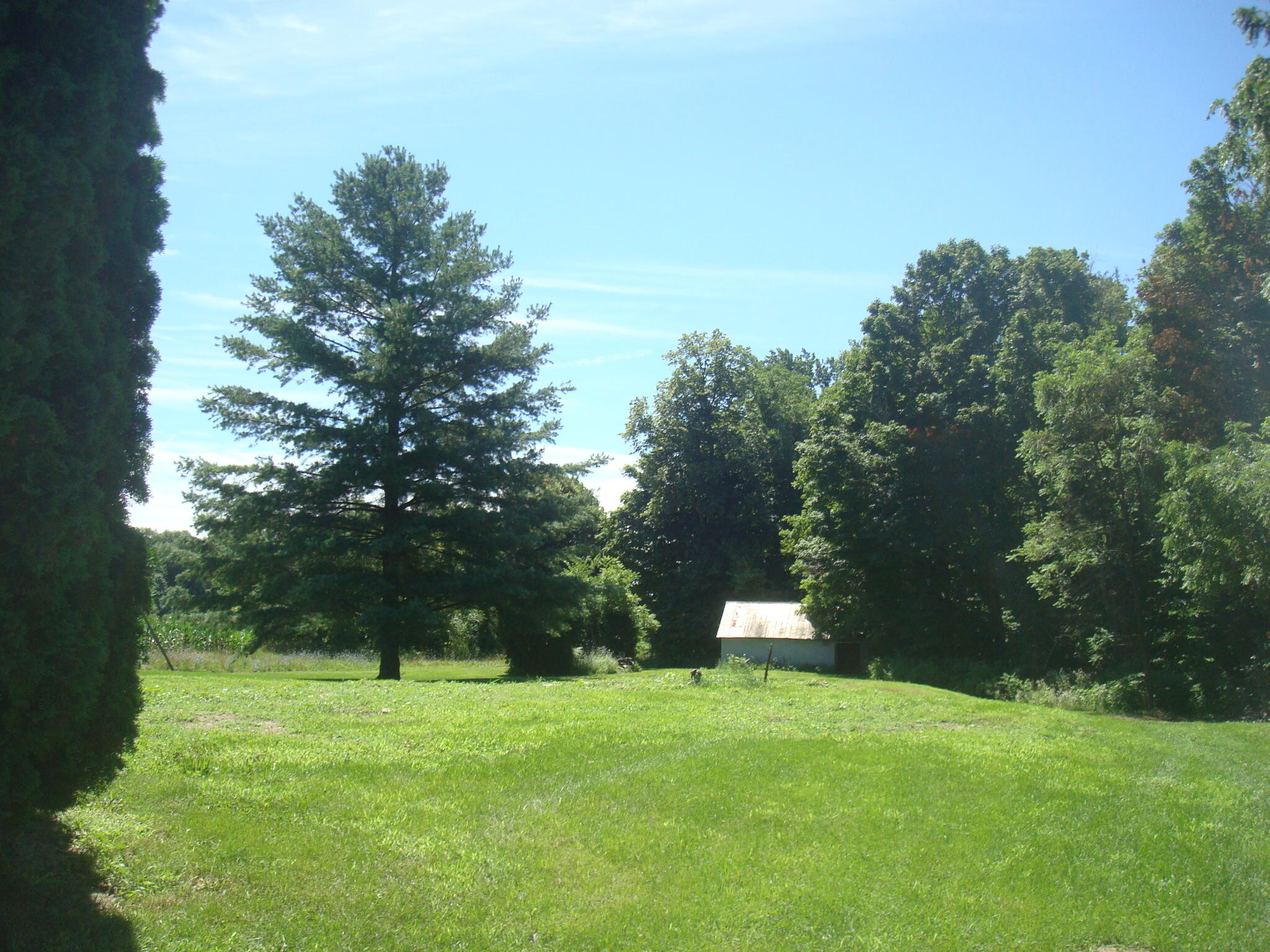 14500 Grange Road Montgomery, MI 49255 - Photo 10 of 72 9190 (8)