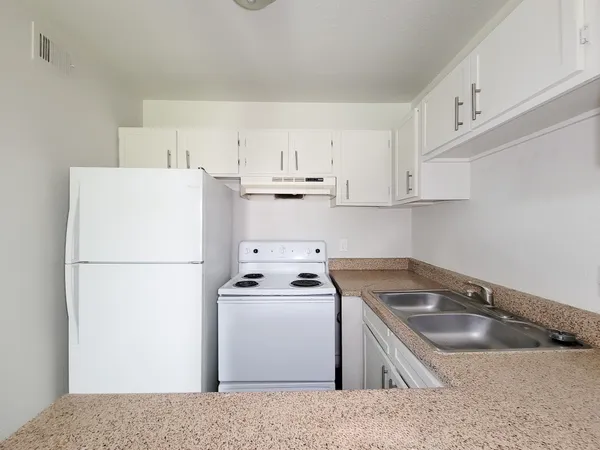 a kitchen with a sink a stove and refrigerator