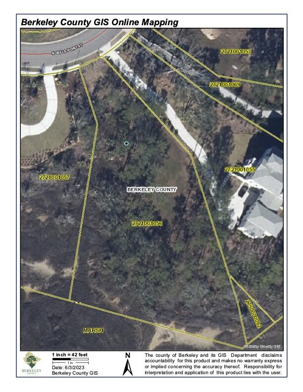 117 Nobels Point Street Charleston, SC 29492 - Photo 13 of 13 A TMS Aerial(4)