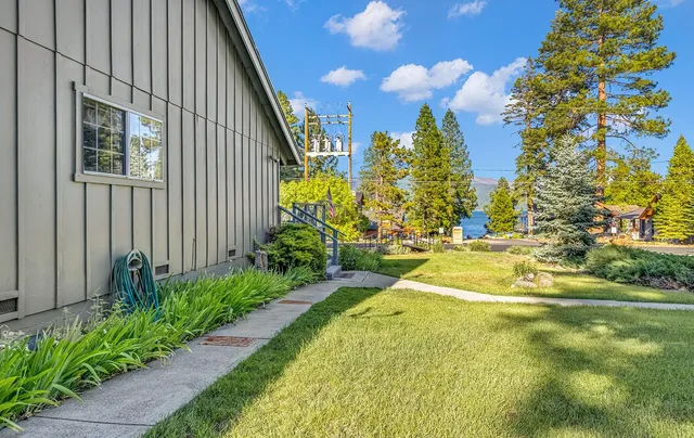 a view of a garden with a flower