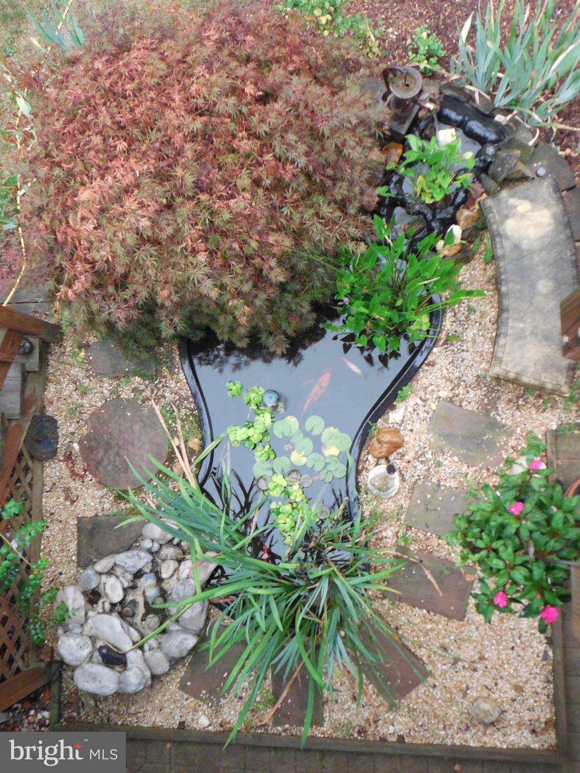 412 Saylors Mill Road Spring City, PA 19475 - Photo 45 of 55 Water feature is stocked!