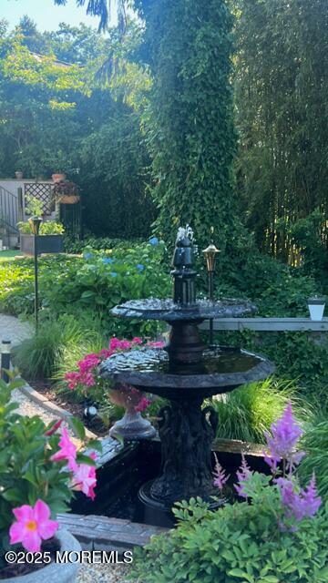 638 South Riverside Drive Neptune Township, NJ 07753 - Photo 14 of 41 a view of a garden with flowers