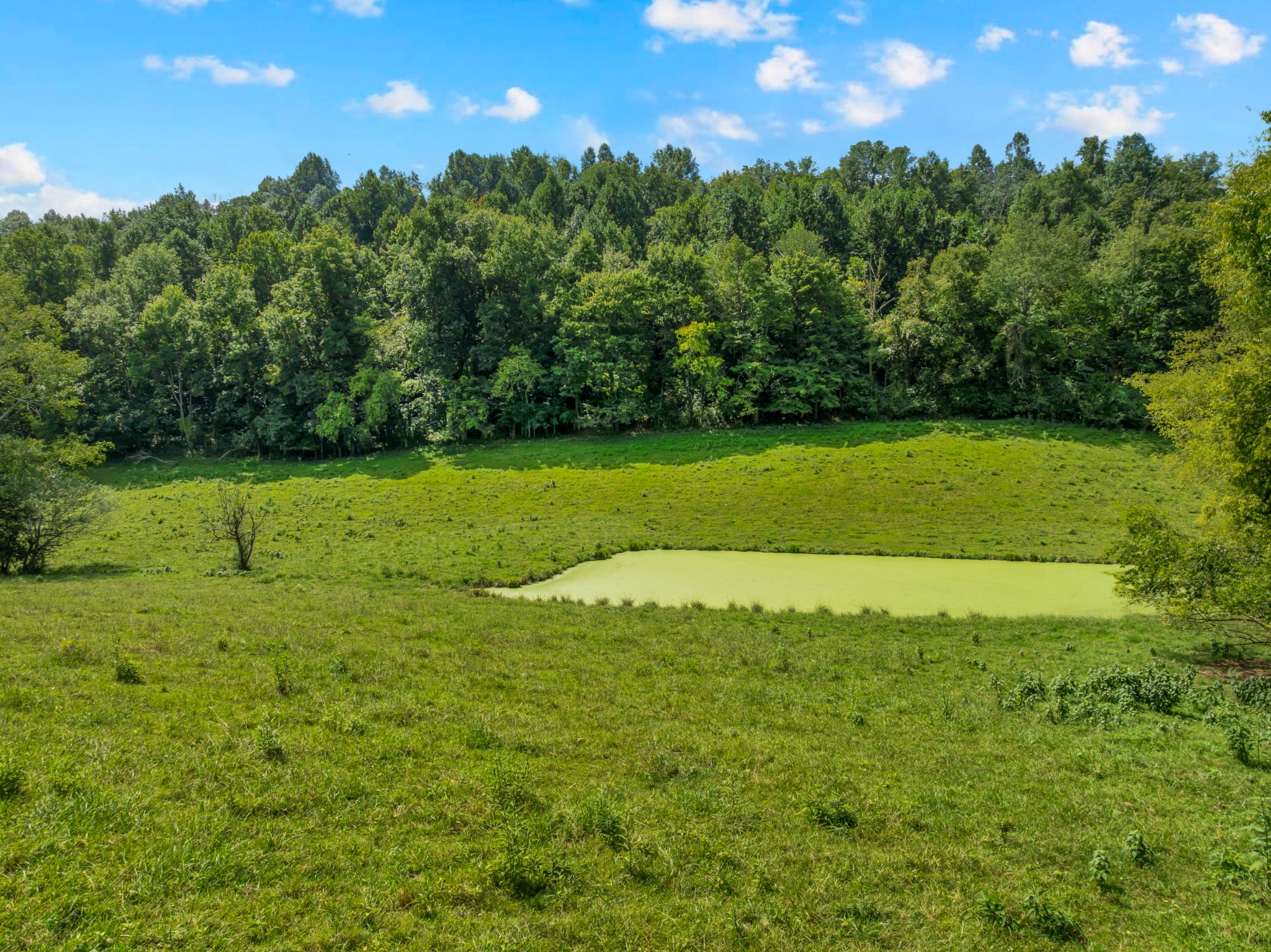 4 B Normandy Road Normandy, TN 37360 - Photo 14 of 16 Gallery Image 14