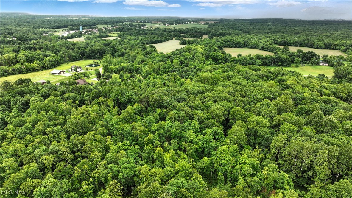 21251 Pitts Road Wellington, OH 44090 - Photo 8 of 14 Bird's eye view of a forest