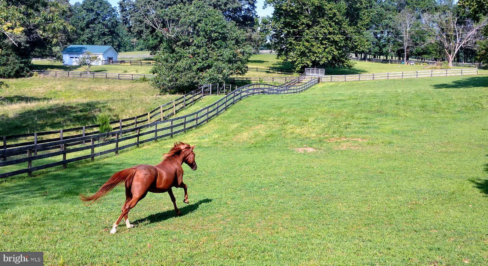 7980 Leeds Manor Road Marshall, VA 20115 - Photo 98 of 105 Gallery Image 98