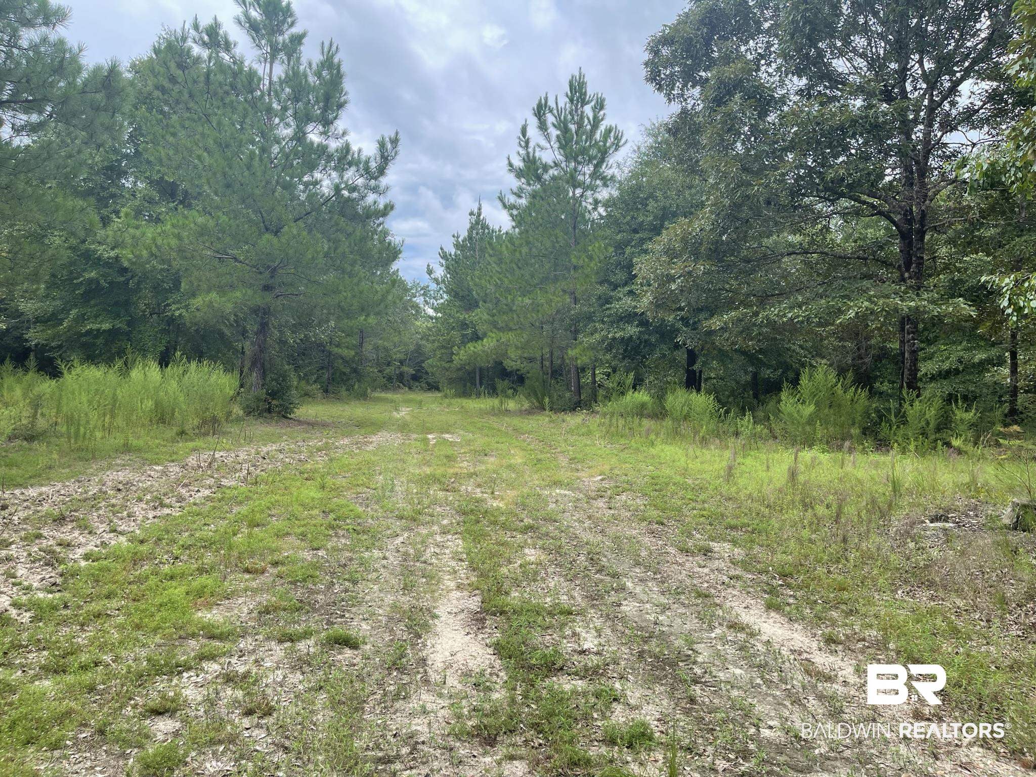 0 County Road 11 Wing, AL 36483 - Photo 19 of 37