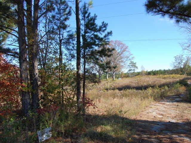 333 M Sanders Road Buchanan, GA 30113 - Photo 1 of 1
