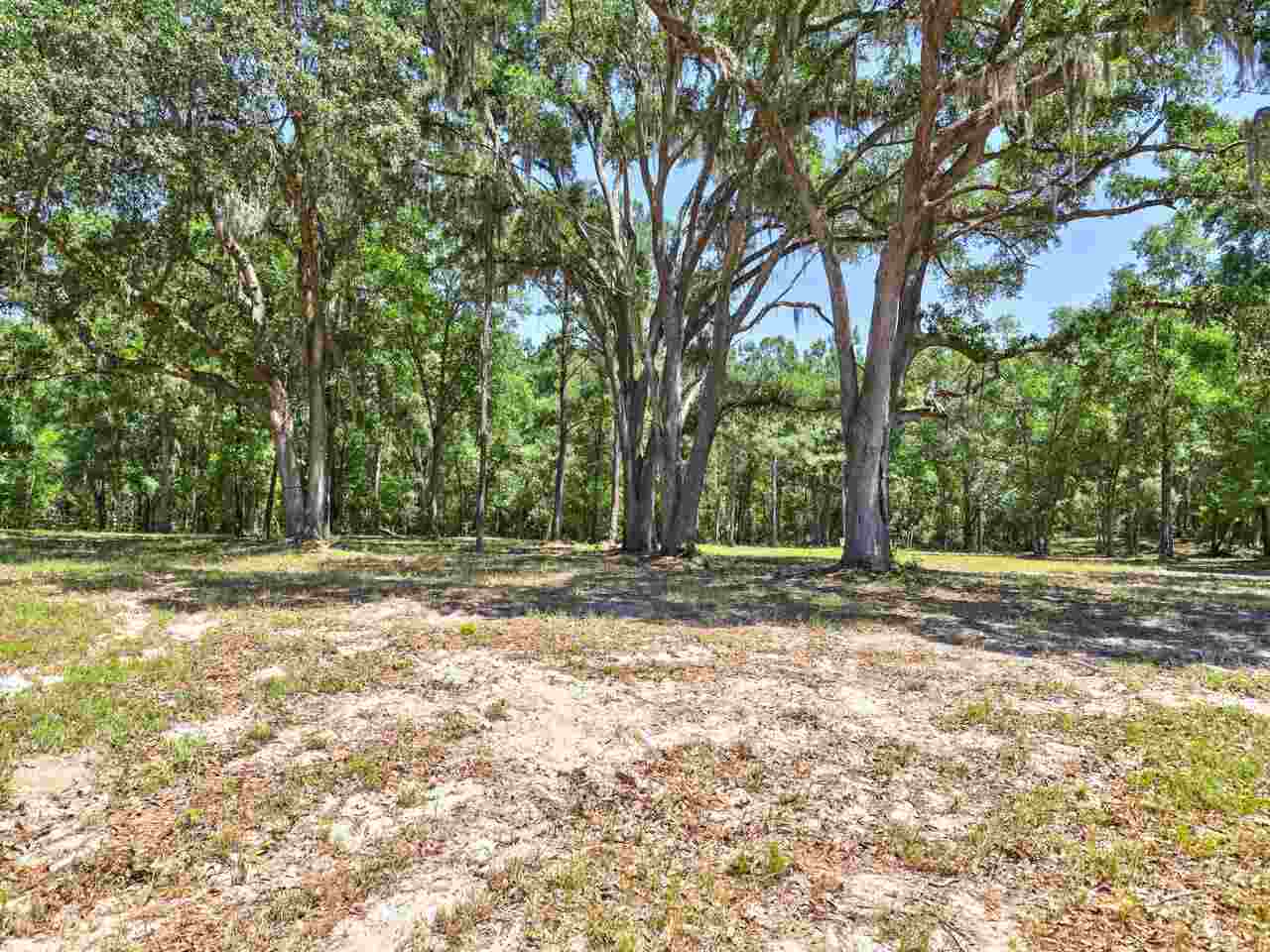 Mccall Bridge Road Quincy, FL 32351 - Photo 18 of 29 Gallery Image 18
