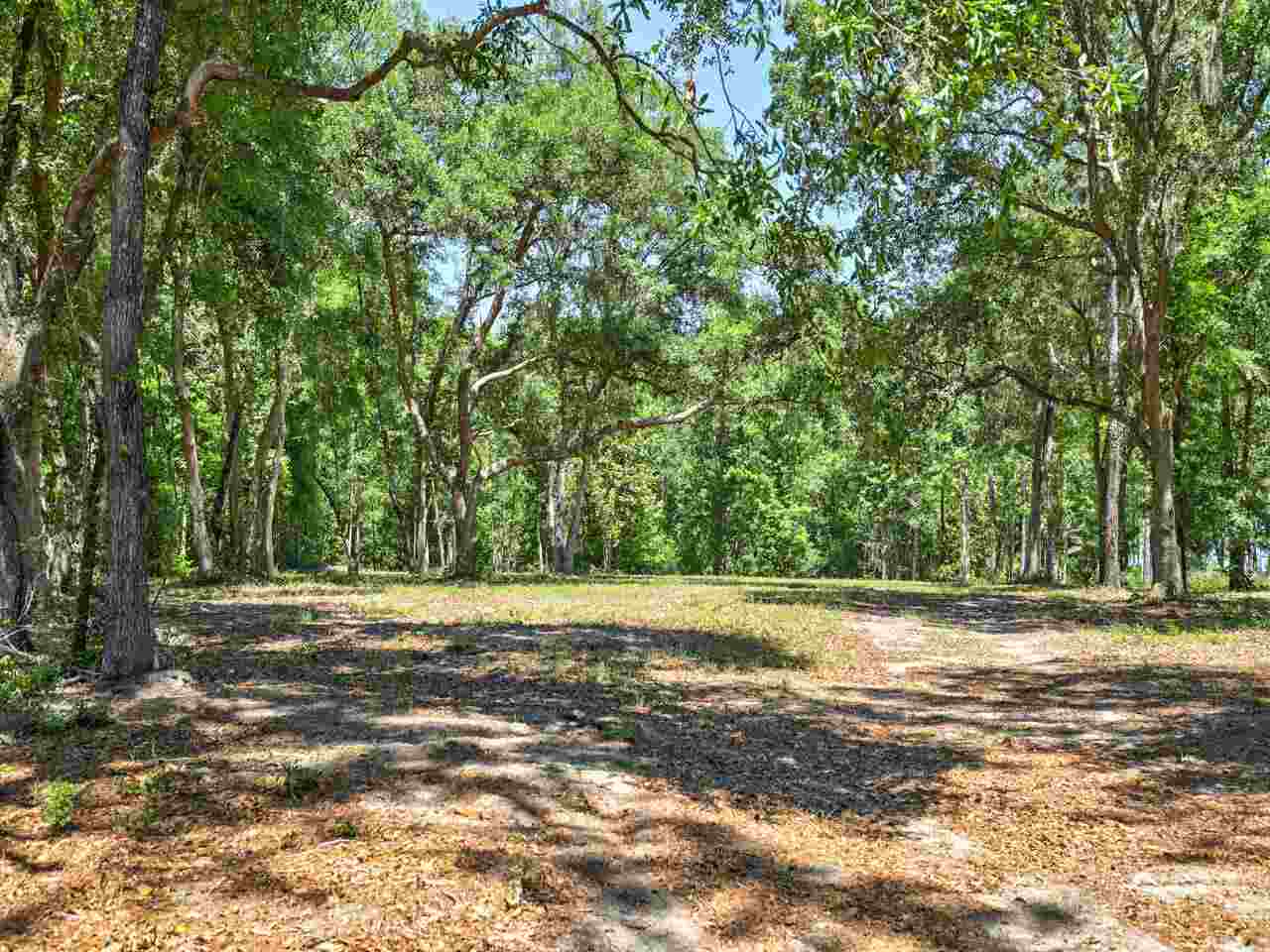 Mccall Bridge Road Quincy, FL 32351 - Photo 20 of 29 Gallery Image 20