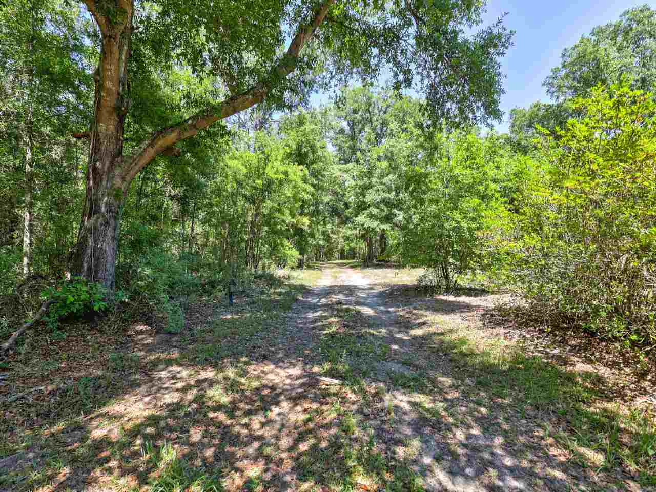 Mccall Bridge Road Quincy, FL 32351 - Photo 25 of 29 Gallery Image 25