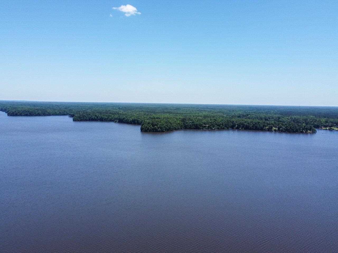 Mccall Bridge Road Quincy, FL 32351 - Photo 6 of 29 Gallery Image 6
