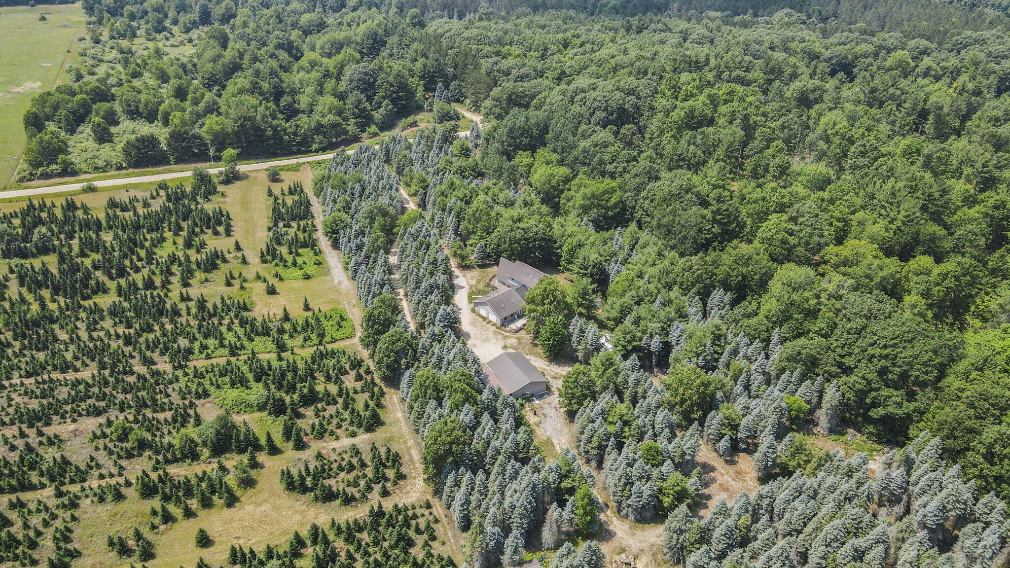 5735 Archer Road Brethren, MI 49619 - Photo 18 of 66 9-web-or-mls-DJI_0866