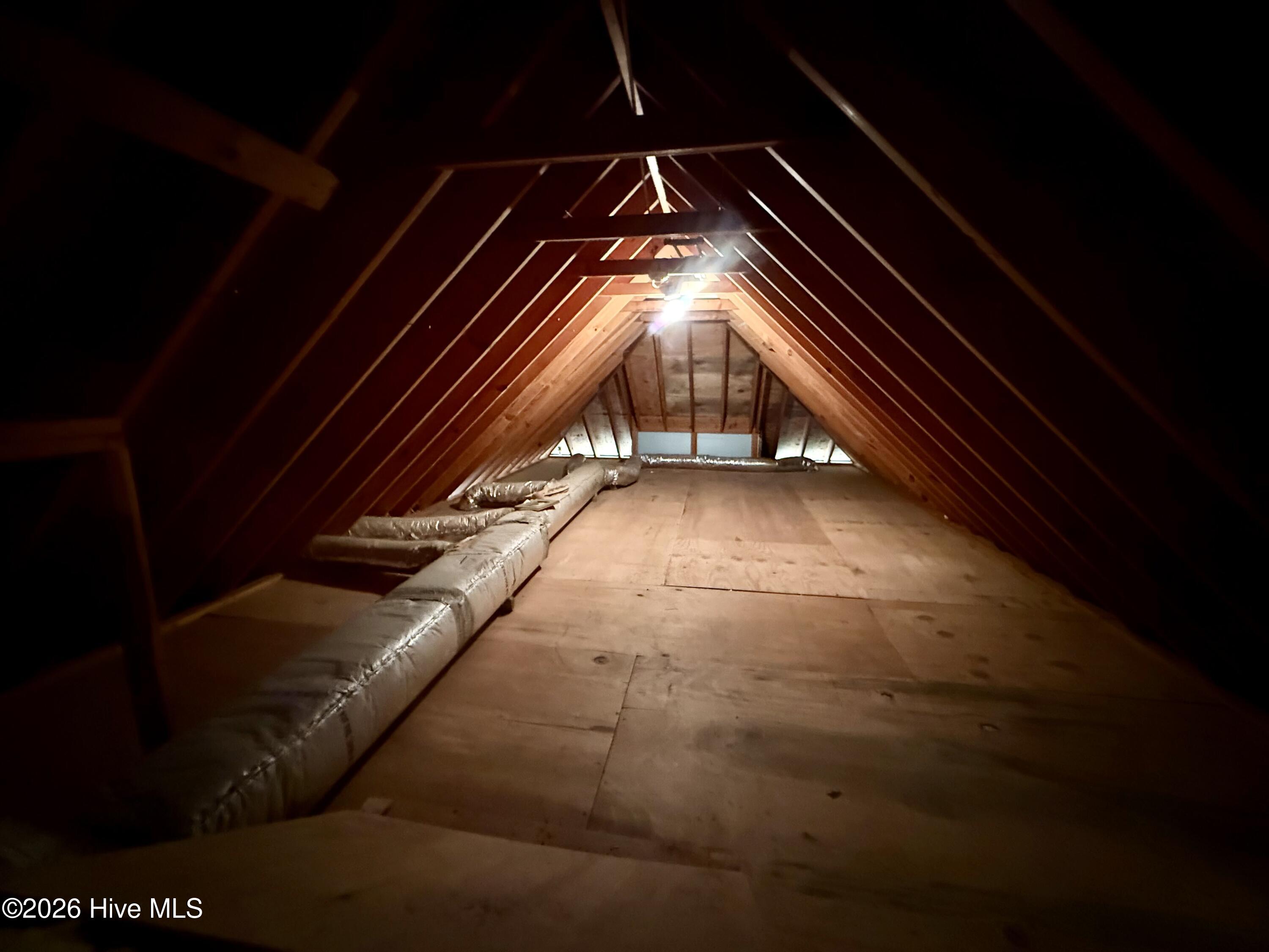1285 Bear Grass Road Williamston, NC 27892 - Photo 130 of 130 Walk-In Attic Storage Space