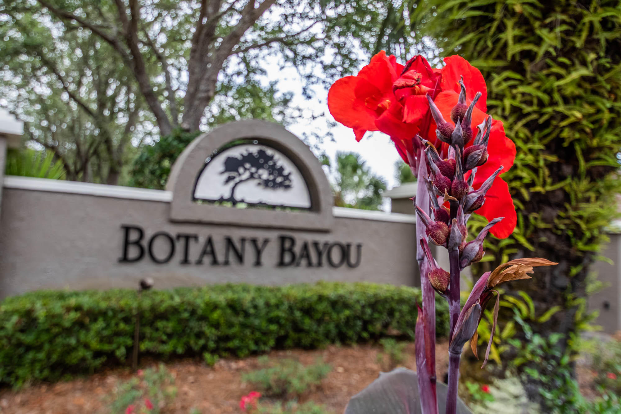 Lot 30 Botany Boulevard Santa Rosa Beach, FL 32459 - Photo 13 of 22 Botany-Bayou-13