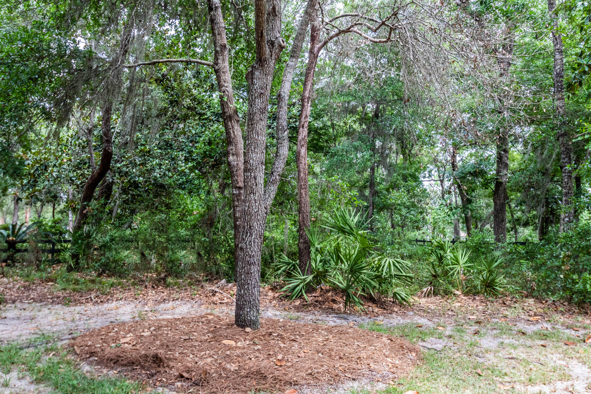 Lot 30 Botany Boulevard Santa Rosa Beach, FL 32459 - Photo 20 of 22 Botany-Bayou-2