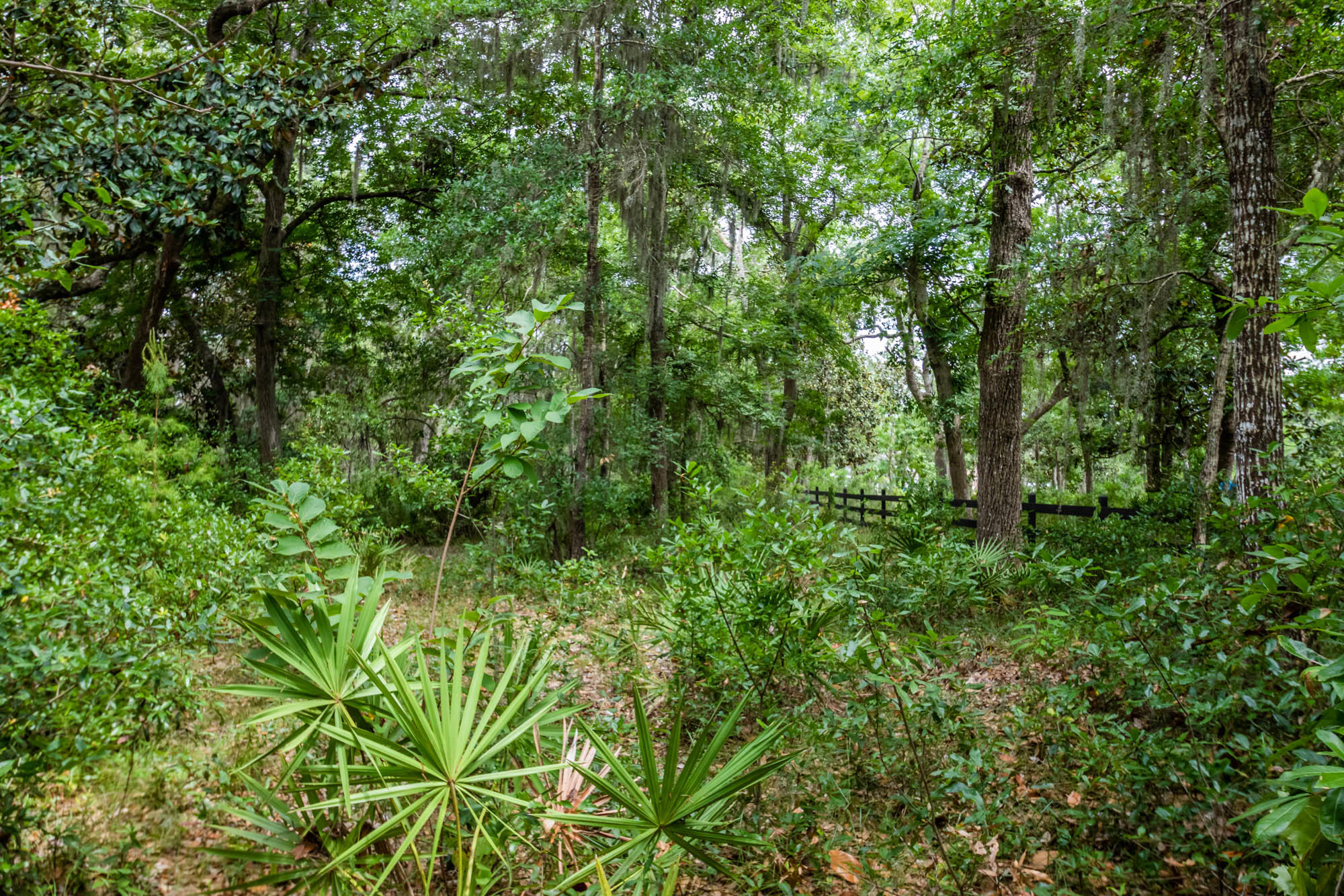 Lot 30 Botany Boulevard Santa Rosa Beach, FL 32459 - Photo 21 of 22 Botany-Bayou-3