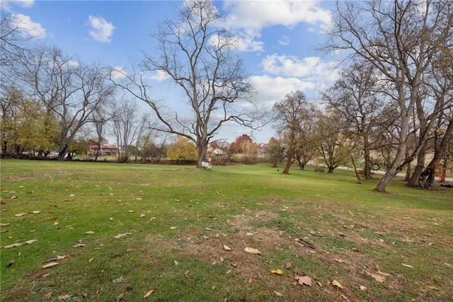 a view of yard with green space