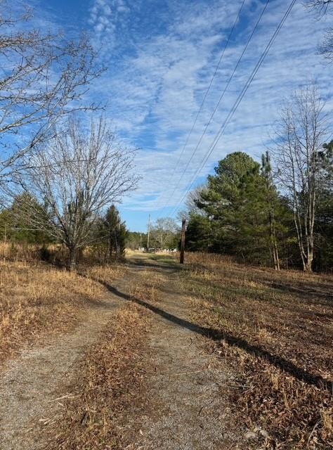 37 Davis Loop Kingston, GA 30145 - Photo 2 of 11