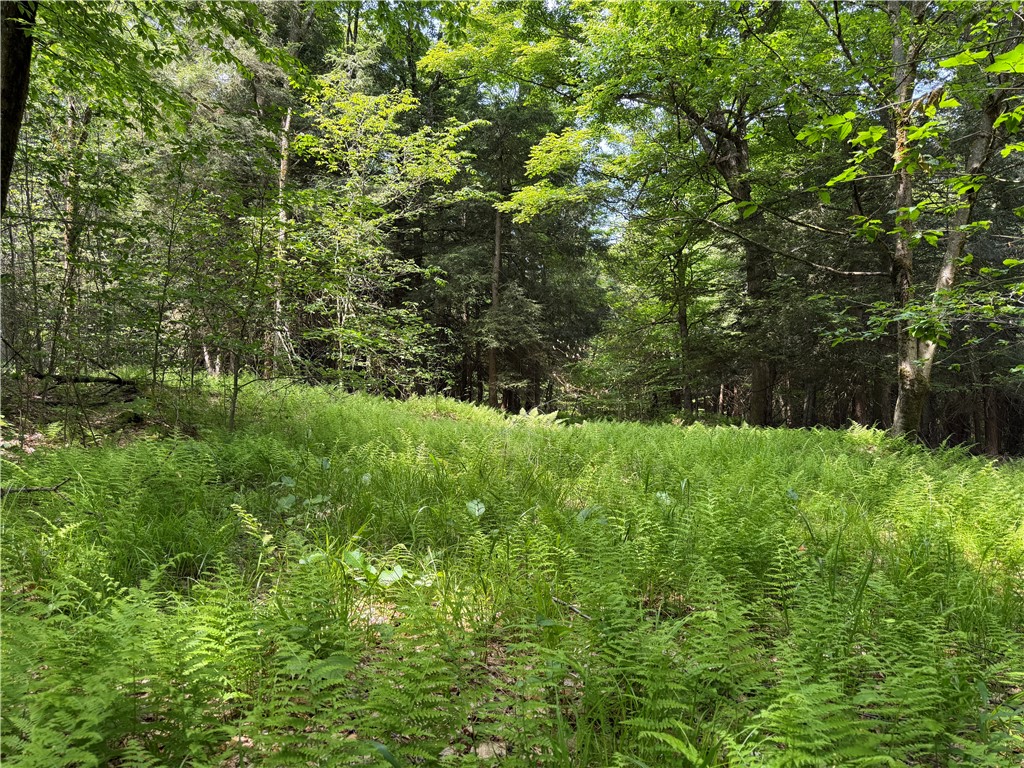 Vl 106 Road Alma, NY 14708 - Photo 1 of 36 Gallery Image 1