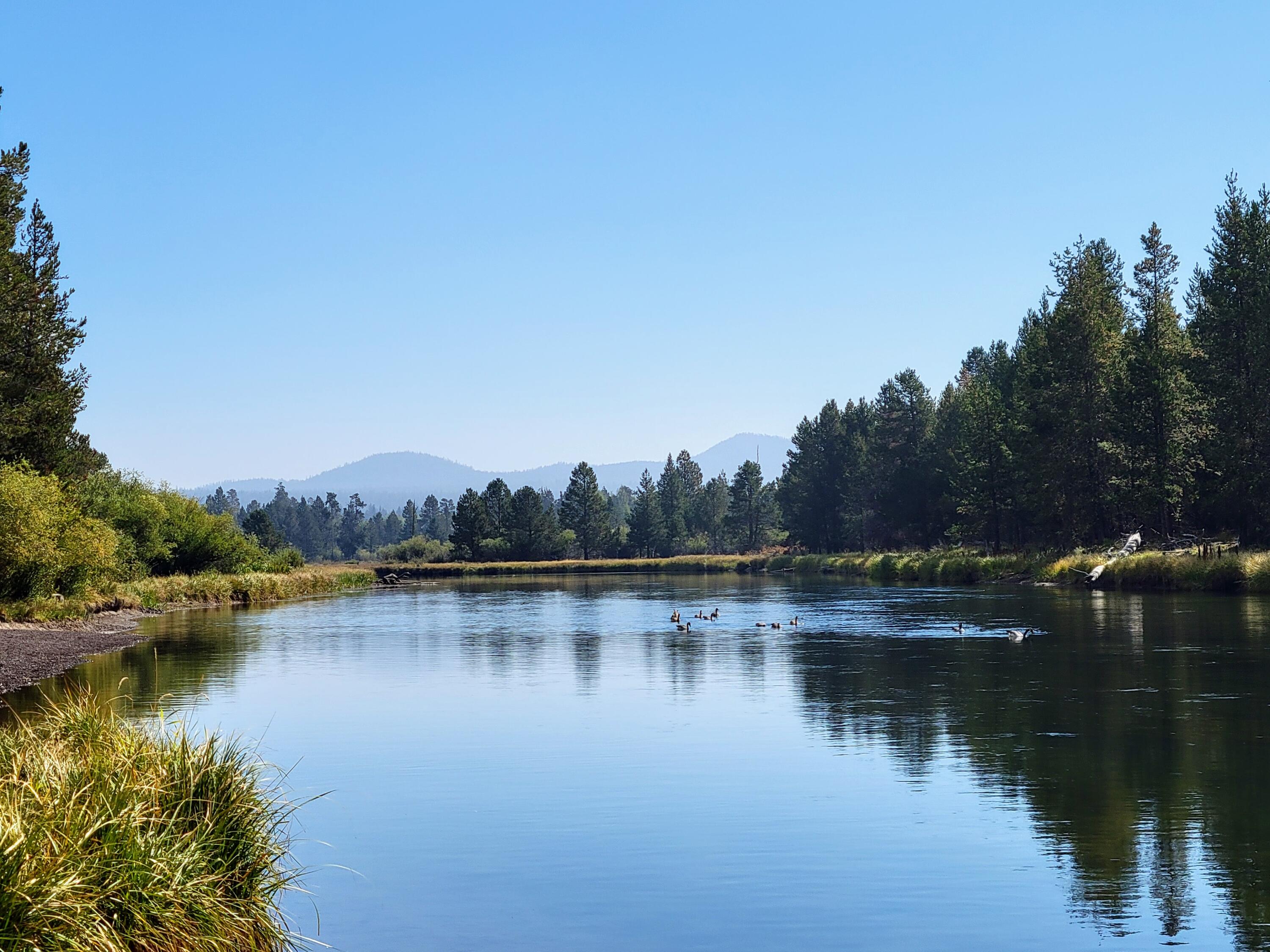 17220 Elsinore Road Bend, OR 97707 - Photo 20 of 20 Looking east down the Deschutes towards Crosswater G.C.