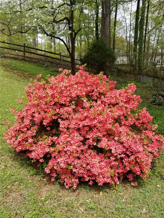 10870 Shallowford Road Roswell, GA 30075 - Photo 41 of 50 Gallery Image 41