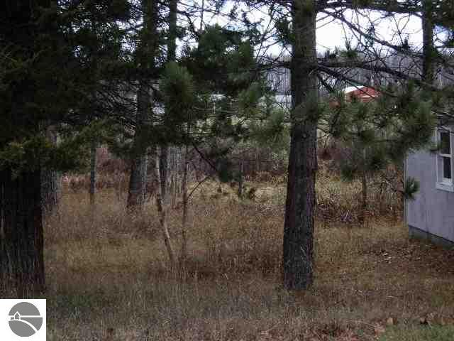6015 Kniss Road Southeast Kalkaska, MI 49646 - Photo 19 of 19 1740612-18.JPG