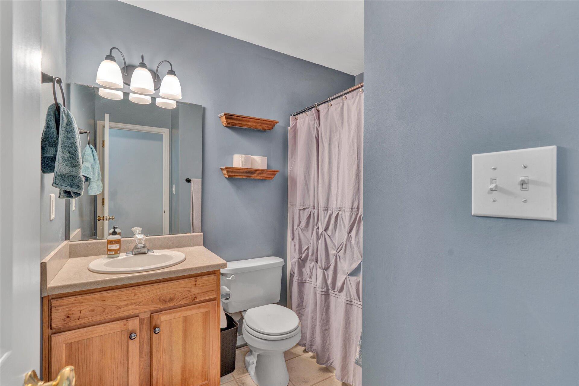 1306 Turner Branch Road Goodview, VA 24095 - Photo 13 of 21 a bathroom with a sink a toilet and a mirror