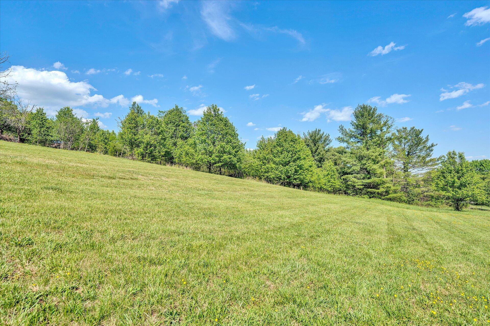 1306 Turner Branch Road Goodview, VA 24095 - Photo 3 of 21 a view of a field with an trees